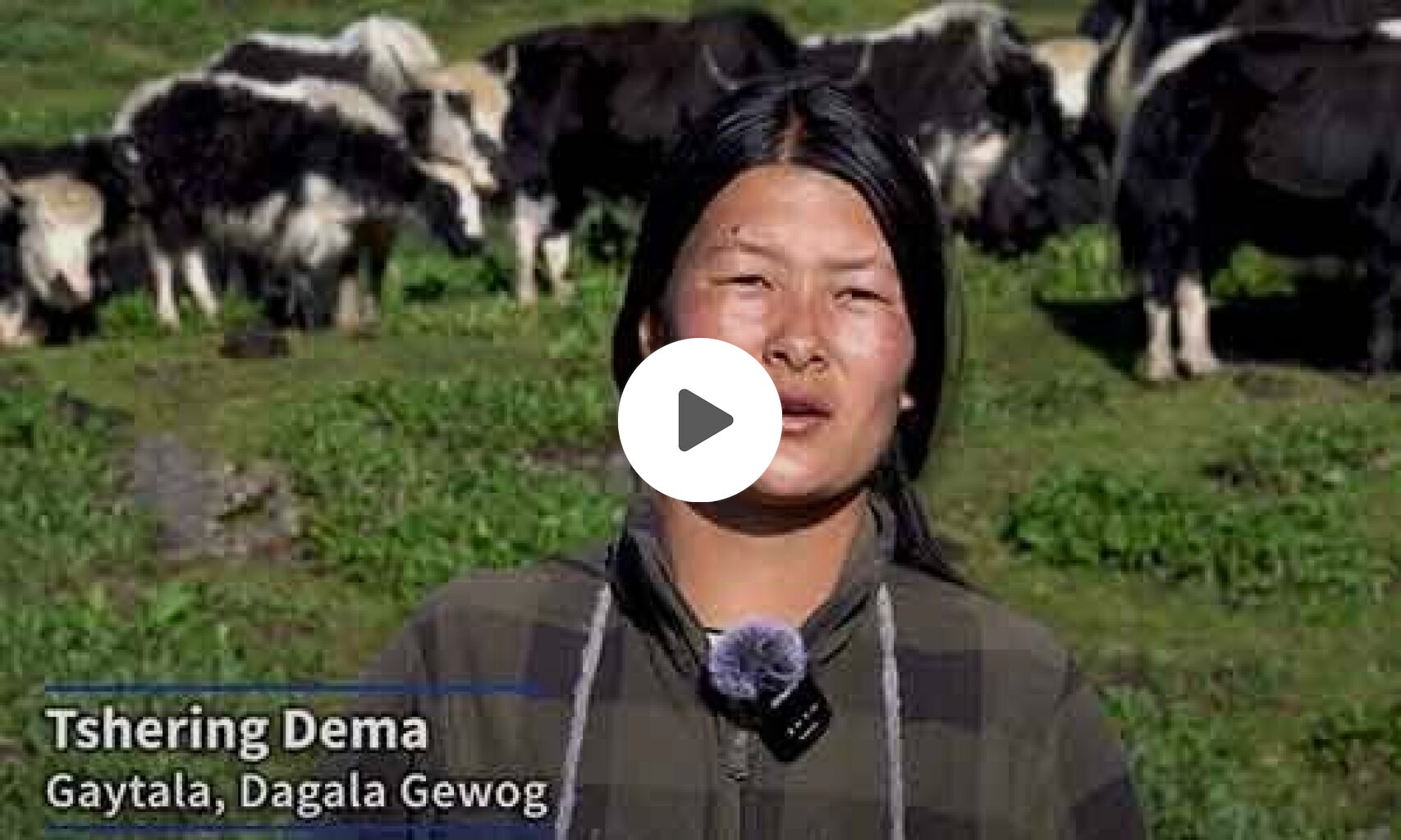 Solar-powered corral fencing brings multiple benefits for herder families - Part I