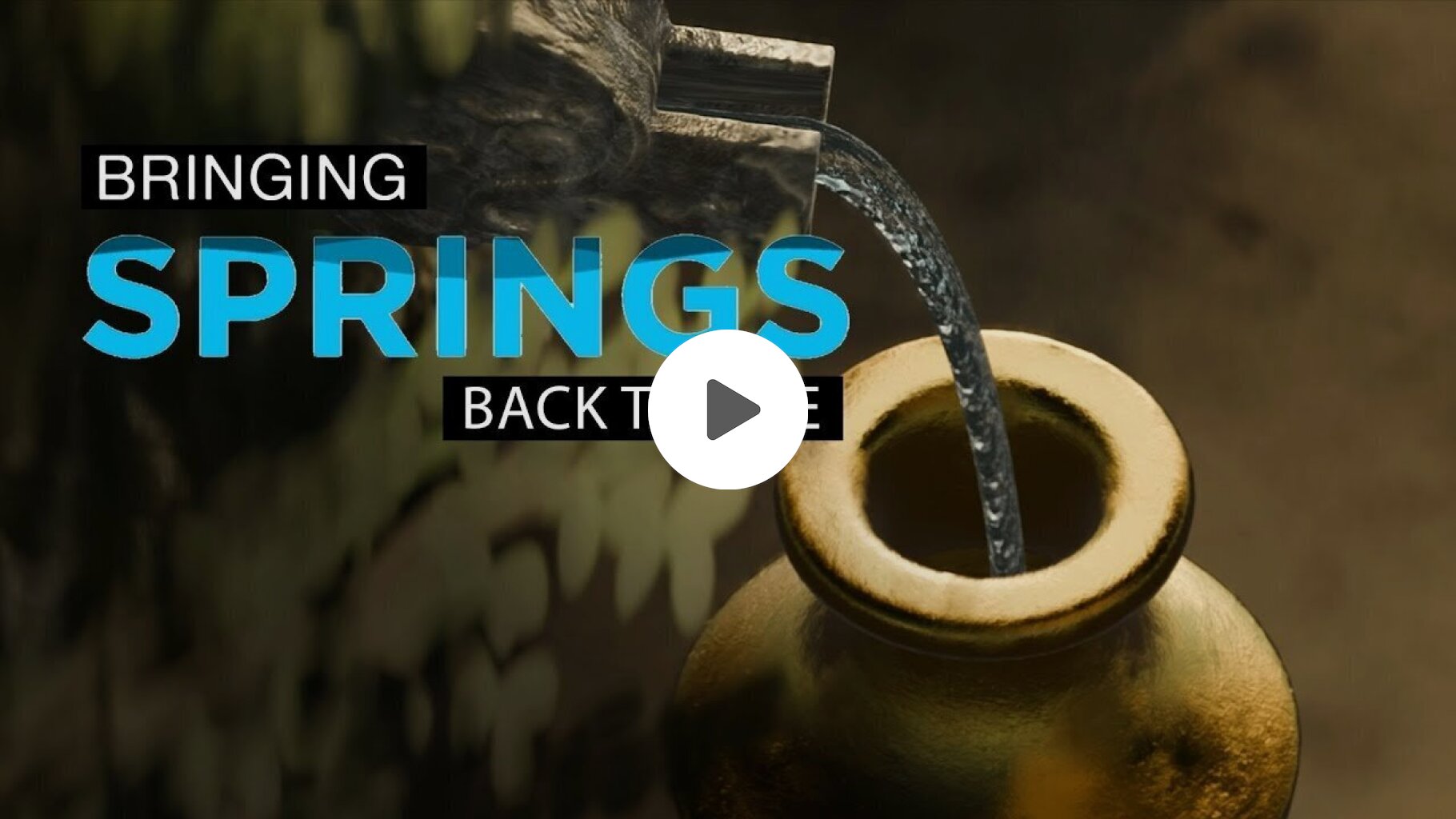 Bringing springs back to life