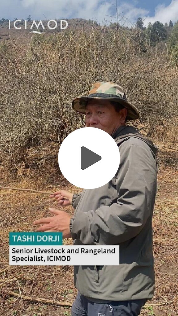 Bhutan: Voices from the field