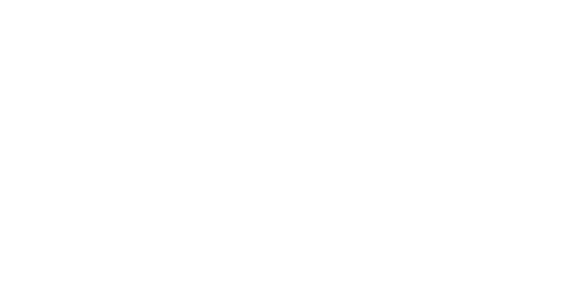 Lloyd Young Homes Logo