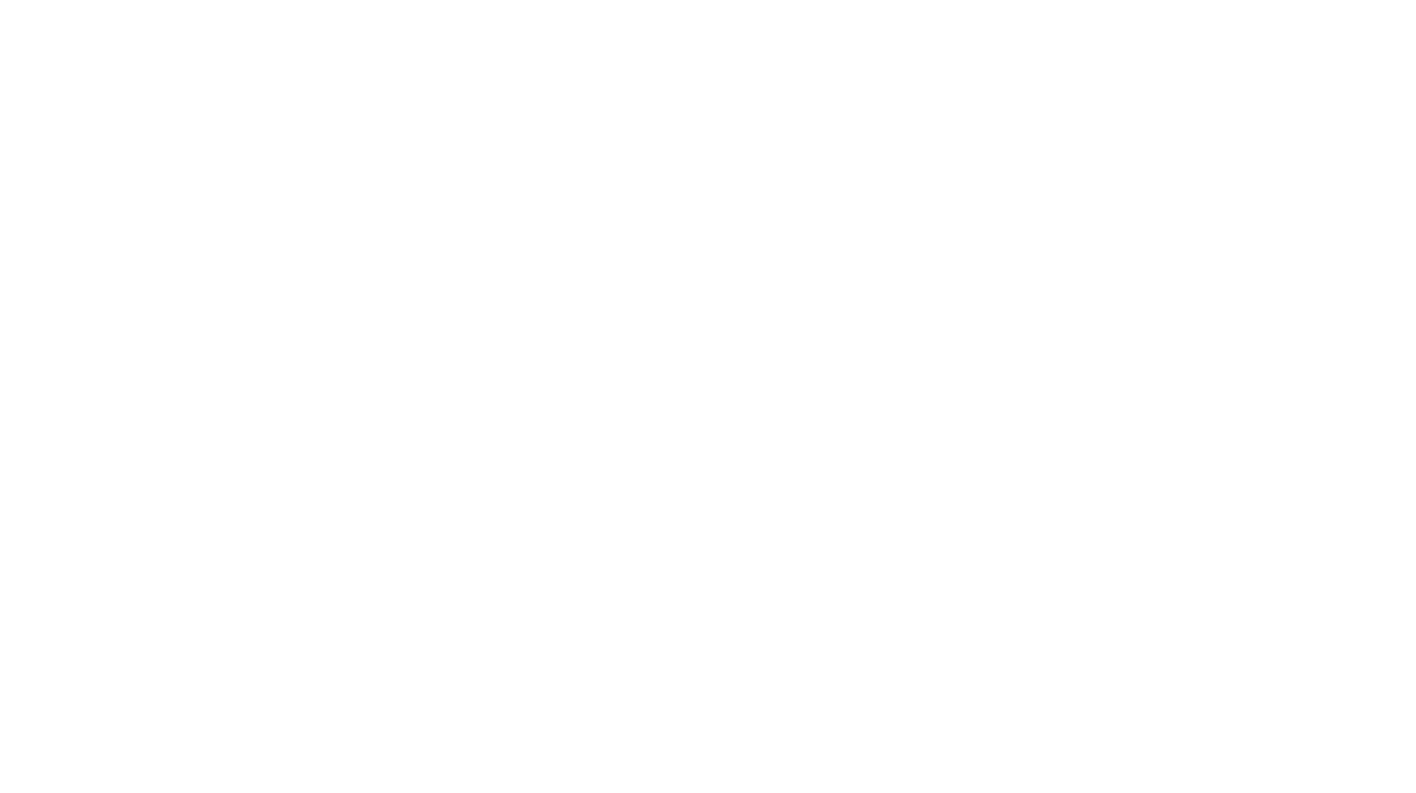 DASH logo