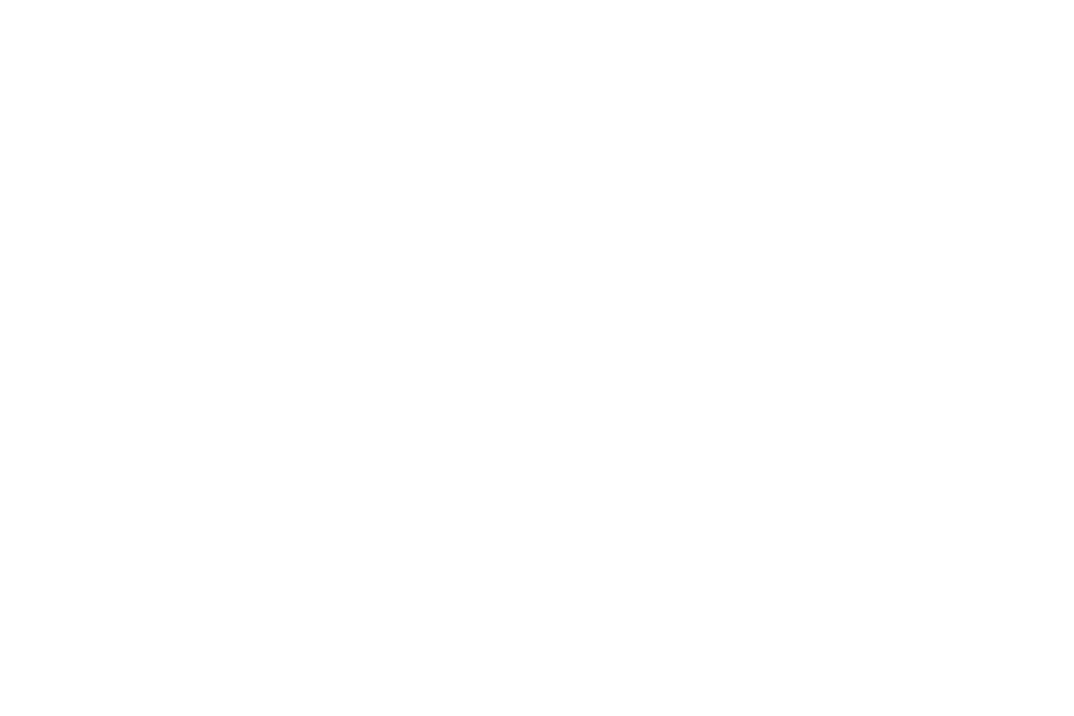 Example logo