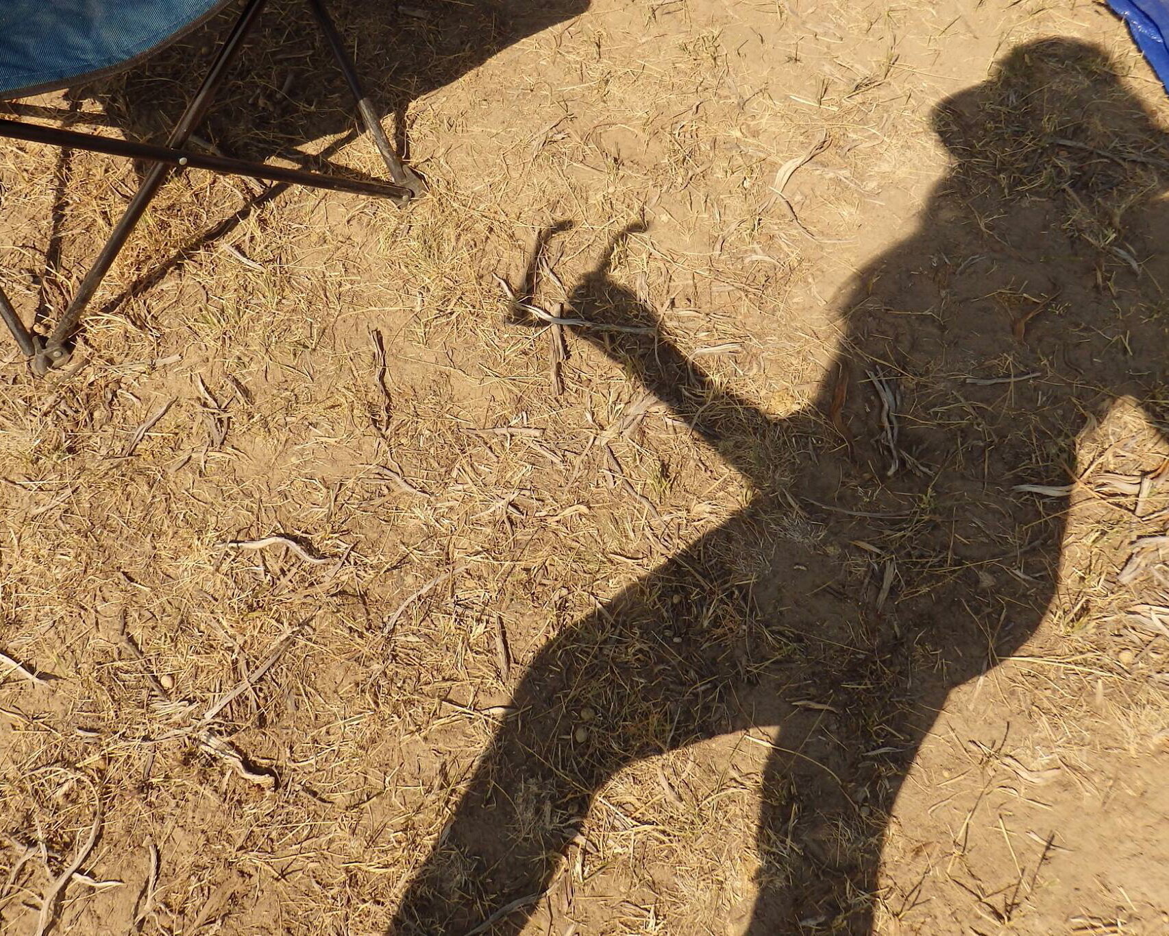 Kaywood Oryx's shadow during total solar eclipse