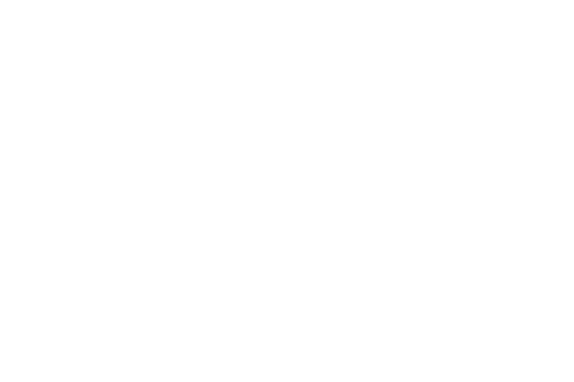 Example logo