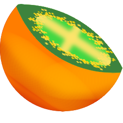 Logo of half a lulo fruit, also called naranjilla. It's orange on the outside and green on the inside.
