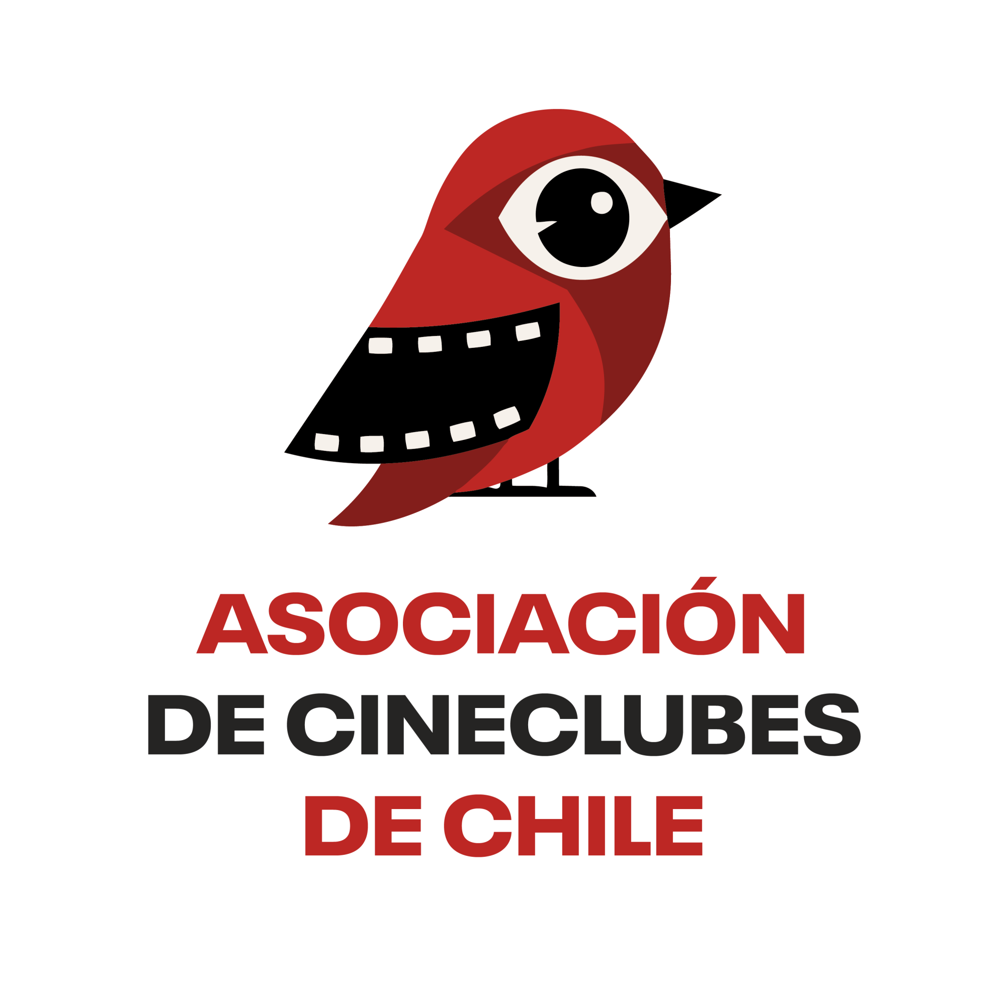 Logo Asociación Cineclubes Chile