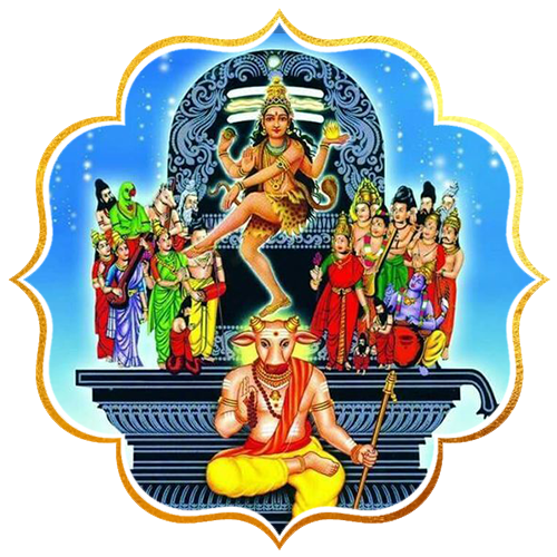 Shani Jayanthi Special Rituals