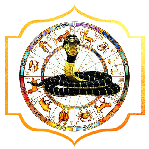 Shani Jayanthi Special Rituals