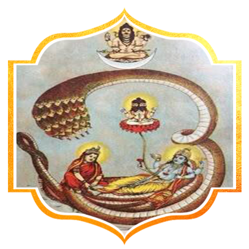 Shani Jayanthi Special Rituals