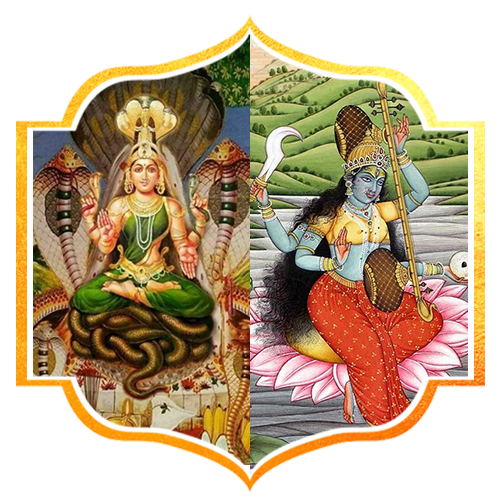 Shani Jayanthi Special Rituals