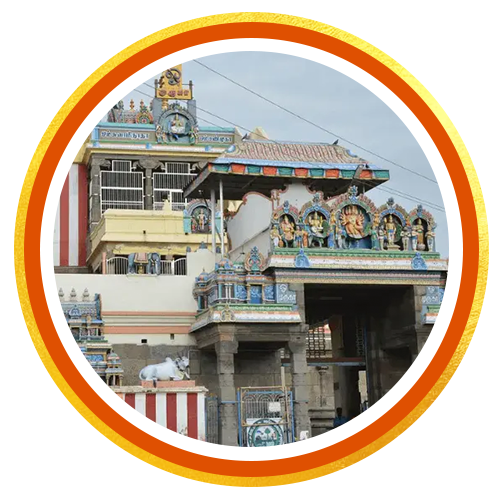 Shani Jayanthi Special Rituals