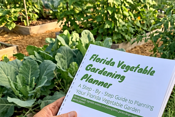 Florida Planting Guide.pdf Free Florida Vegetable Garden Planner
