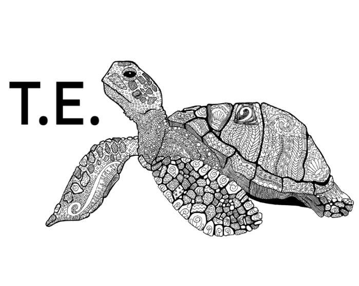 turtle edits logo