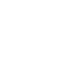 bandcamp social link