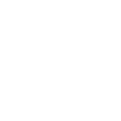 discord social link