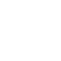 website social link