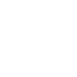 bandcamp social link