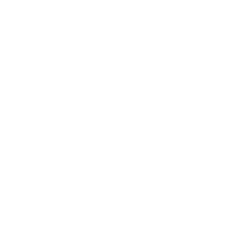 tiktok social link