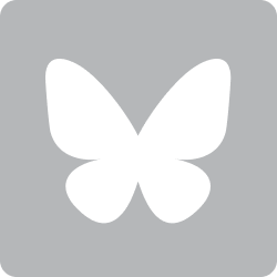 bluesky social link
