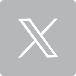 twitter social link
